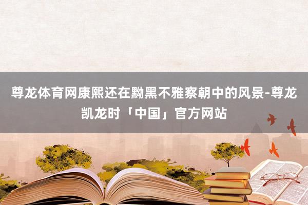 尊龙体育网康熙还在黝黑不雅察朝中的风景-尊龙凯龙时「中国」官方网站
