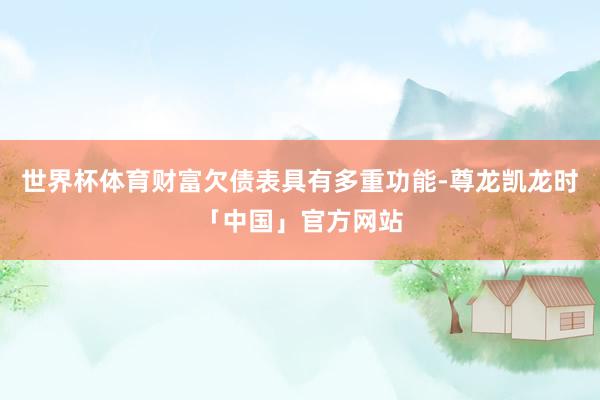 世界杯体育财富欠债表具有多重功能-尊龙凯龙时「中国」官方网站