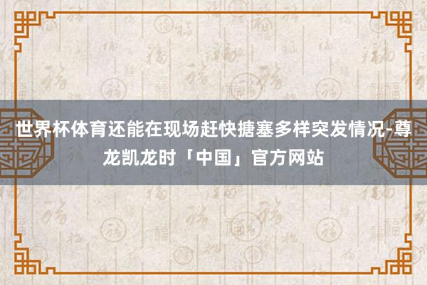 世界杯体育还能在现场赶快搪塞多样突发情况-尊龙凯龙时「中国」官方网站